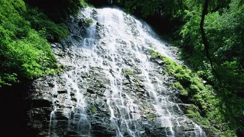 高效智慧智能